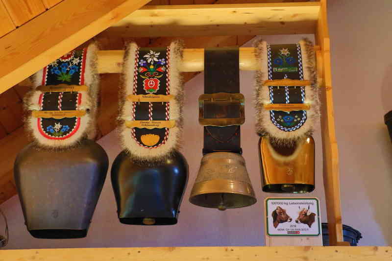 BFeste-2019-0028.JPG